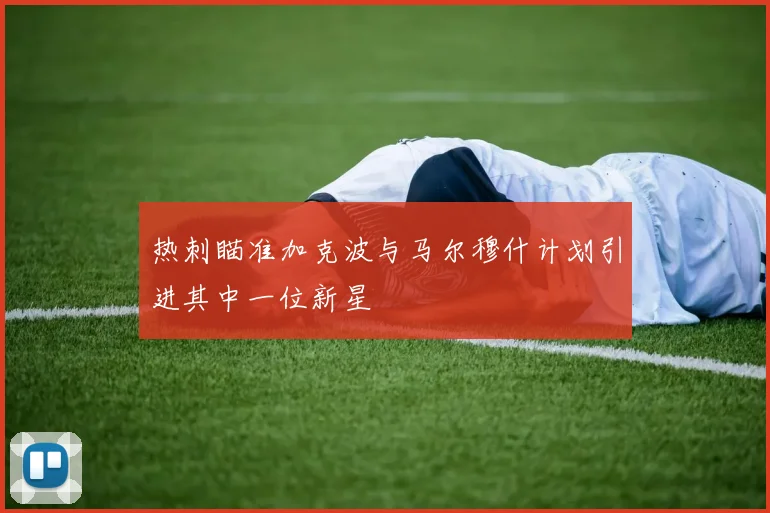 热刺瞄准加克波与马尔穆什计划引进其中一位新星