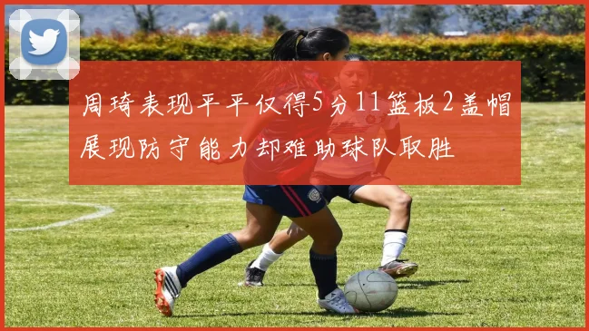 周琦表现平平仅得5分11篮板2盖帽展现防守能力却难助球队取胜